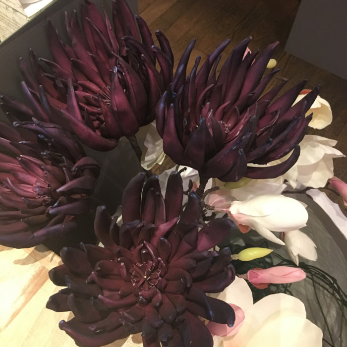Fiore Lotusa - immagine 5