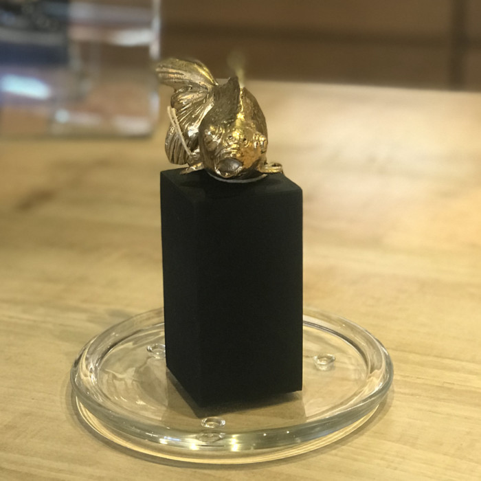 Pesce Bronzo - immagine 4