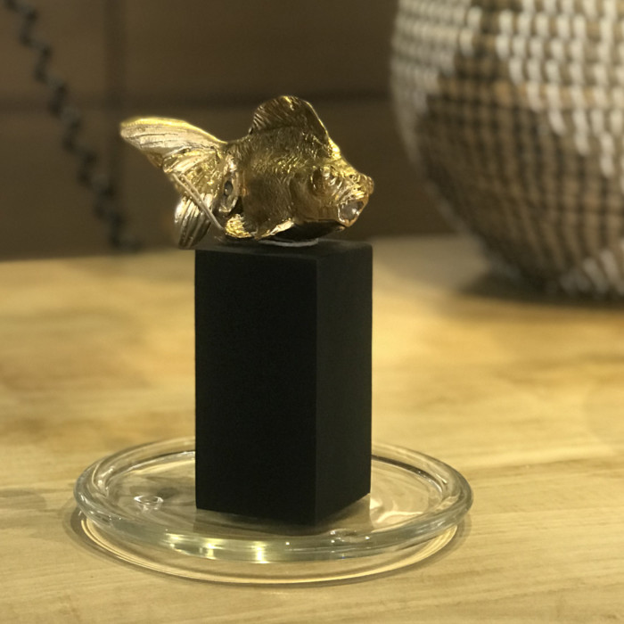 Pesce Bronzo - immagine 3