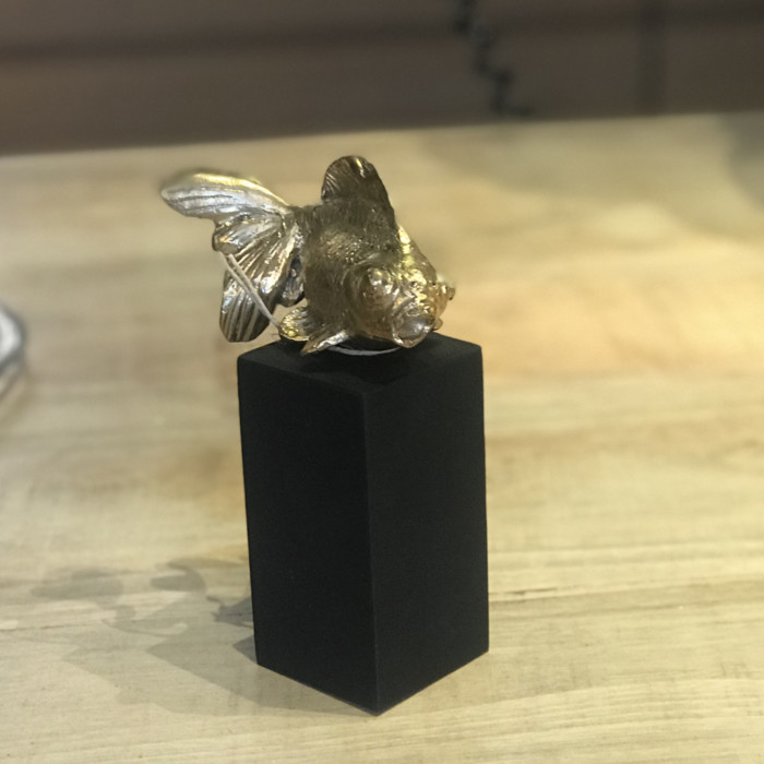 Pesce Bronzo