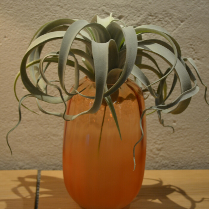 Vaso Strie Salmone - immagine 5