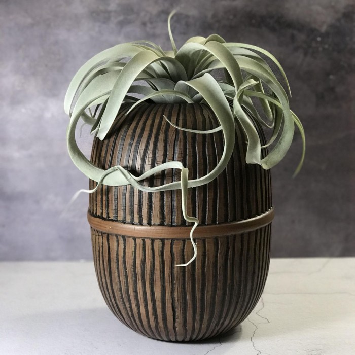 Vaso Bastia - immagine 2