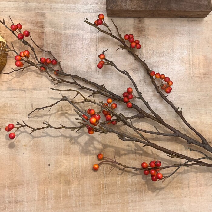 Ramo bacche rosse - immagine 2