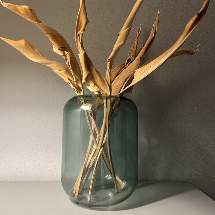 Vaso verde trasparente