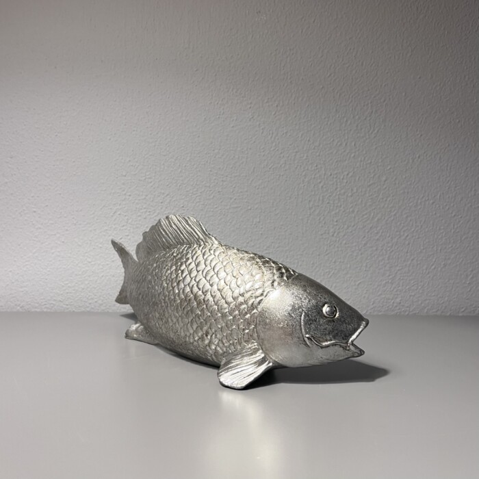 Pesce argento - immagine 3
