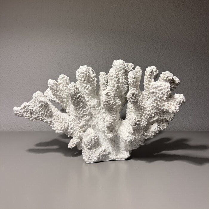 Corallo bianco