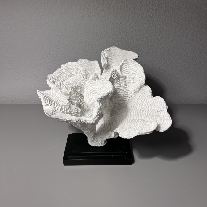 Corallo c/base - immagine 2