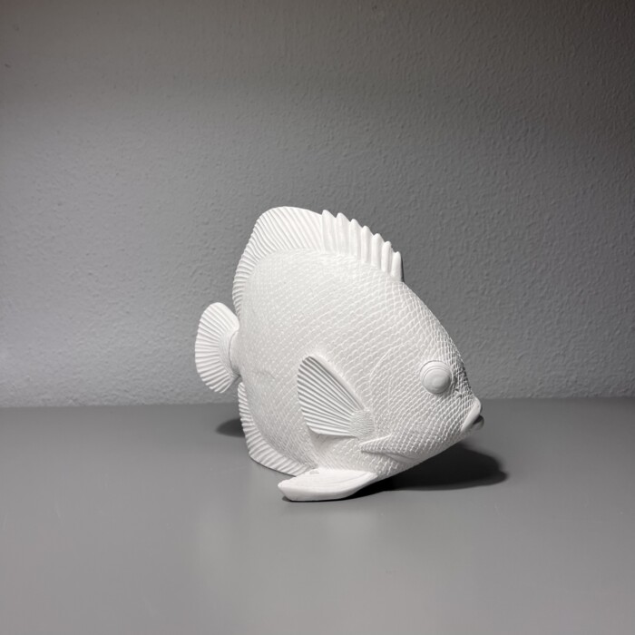 Pesce bianco - immagine 2