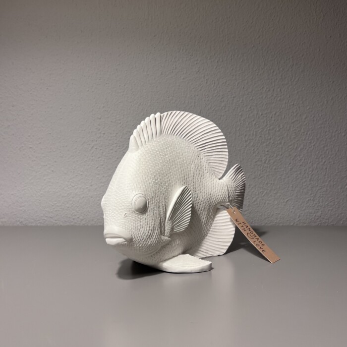 Pesce bianco - immagine 3