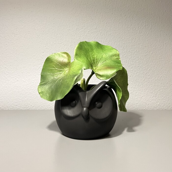 Vaso Gufo Ceramica