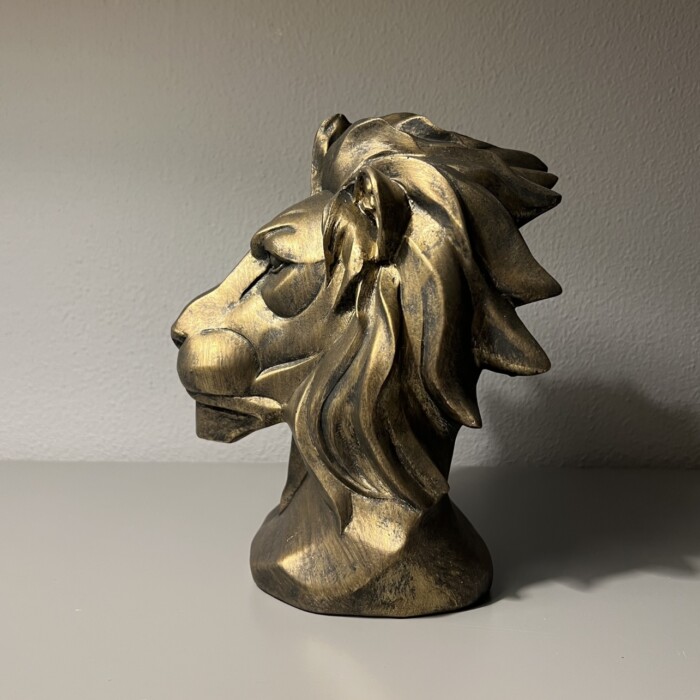 Leone - immagine 4