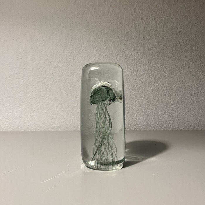 Medusa piccola in vetro