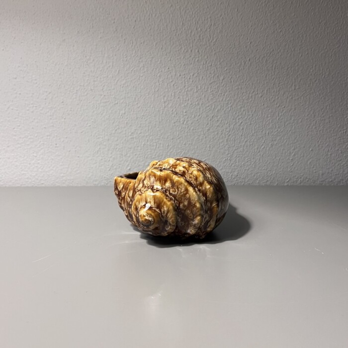 Conchiglia marrone in ceramica M - immagine 2