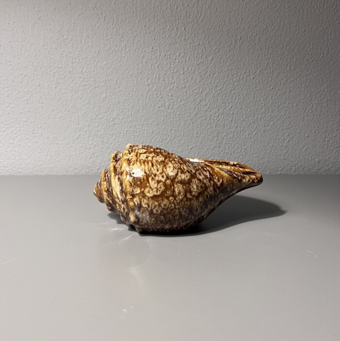 Conchiglia marrone in ceramica M - immagine 4