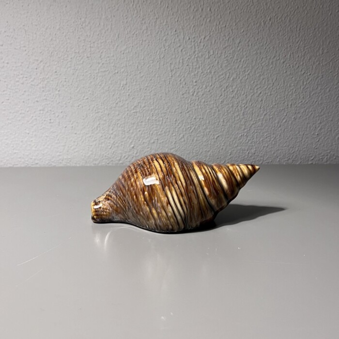 Conchiglia marrone in ceramica