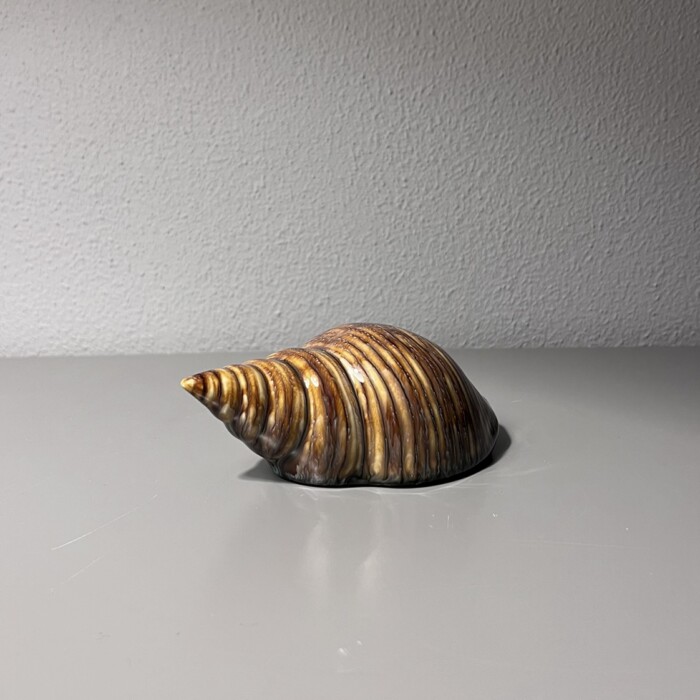 Conchiglia marrone in ceramica - immagine 2