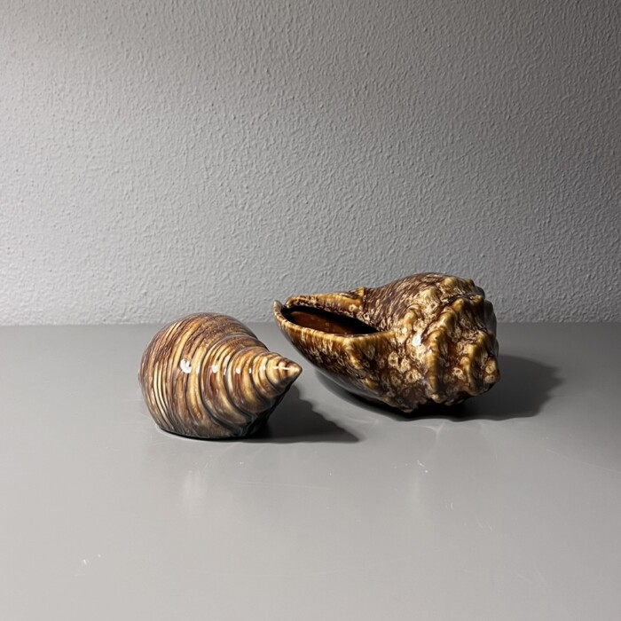 Conchiglia marrone in ceramica M - immagine 3