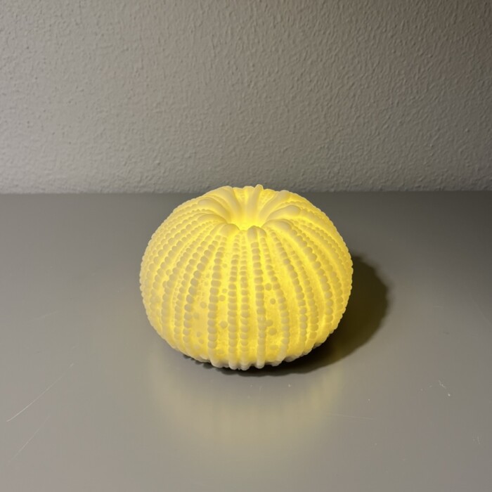 Riccio LED - immagine 4