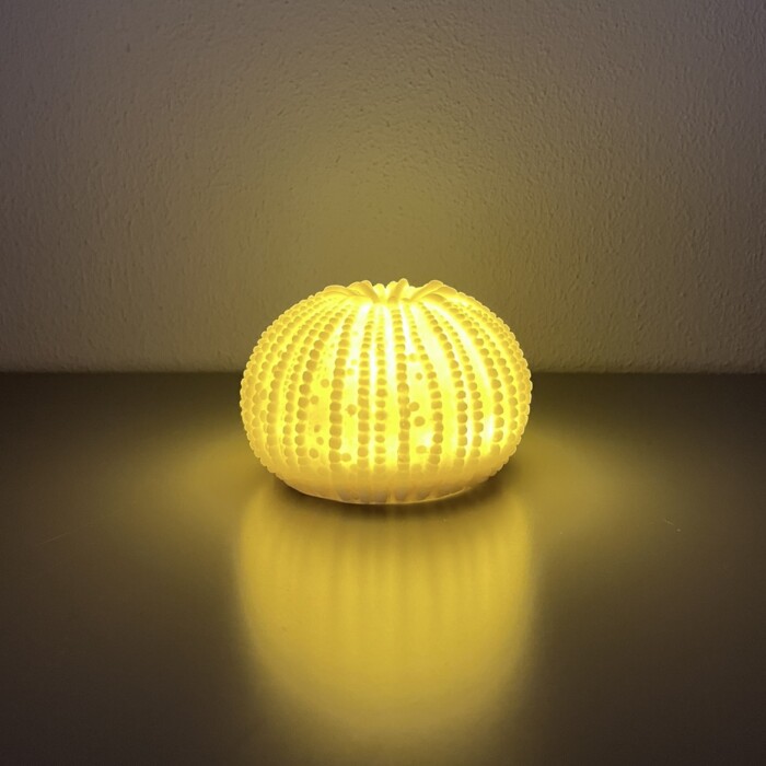 Riccio LED - immagine 2