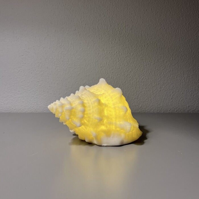 Conchiglia LED - immagine 2